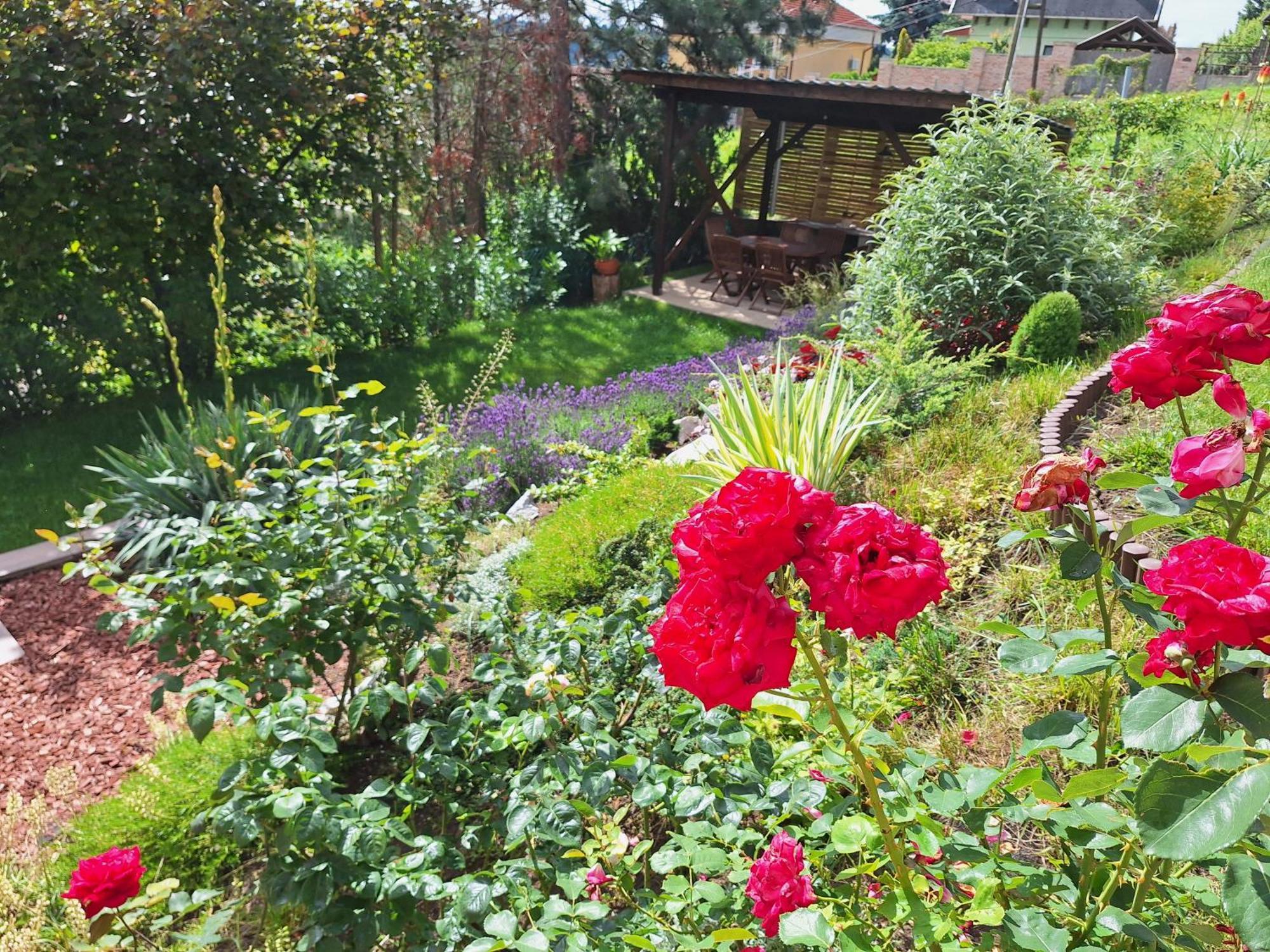 Happy Home Apartman Miszkolc Zewnętrze zdjęcie